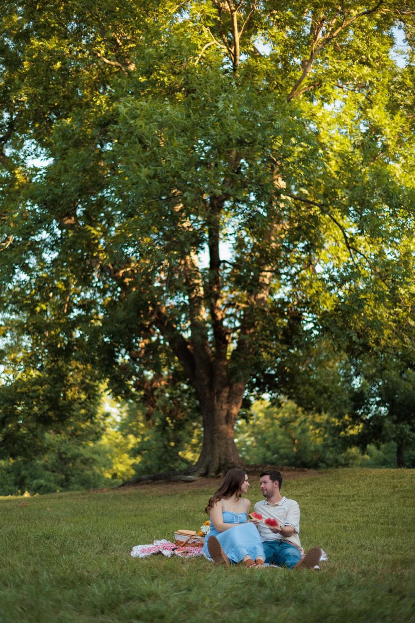 a wide photograph of a couple sitting on a picnic blanket in a filed at historic oak view park